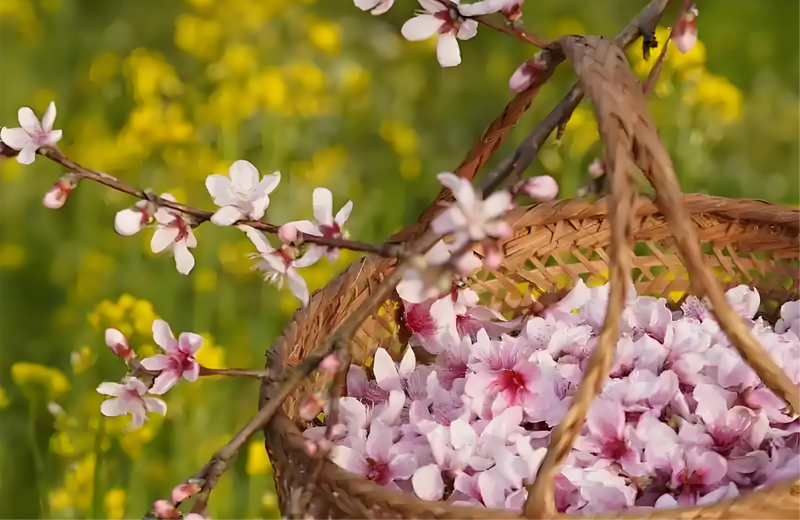Tea Mate - Peach Blossom