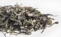 White Tea