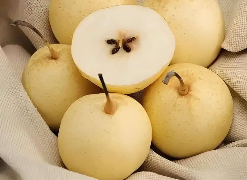 Tea Mate - Dried Pear
