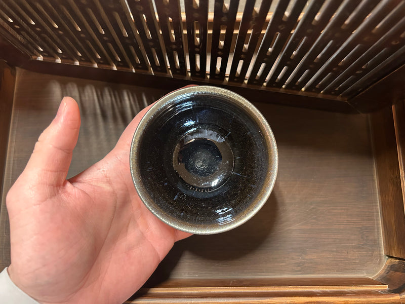 Legacy Bearer — Nebula Cup